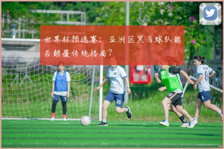 世界杯预选赛:亚洲区黑马球队能否颠覆传统格局?
