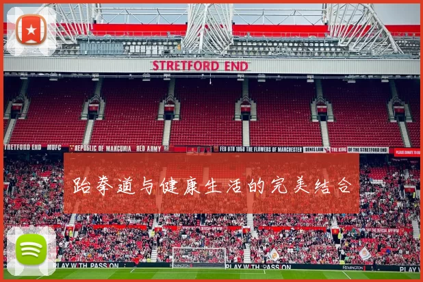 跆拳道与健康生活的完美结合