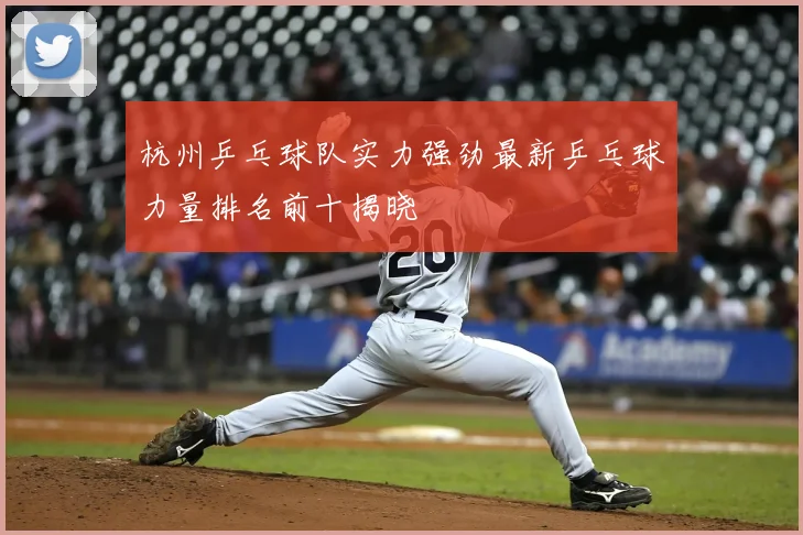 杭州乒乓球队实力强劲最新乒乓球力量排名前十揭晓