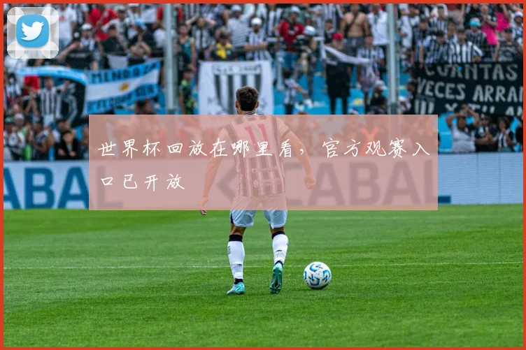 世界杯回放在哪里看，官方观赛入口已开放