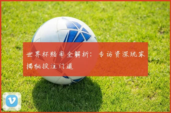 世界杯赔率全解析：专访资深玩家揭秘投注门道