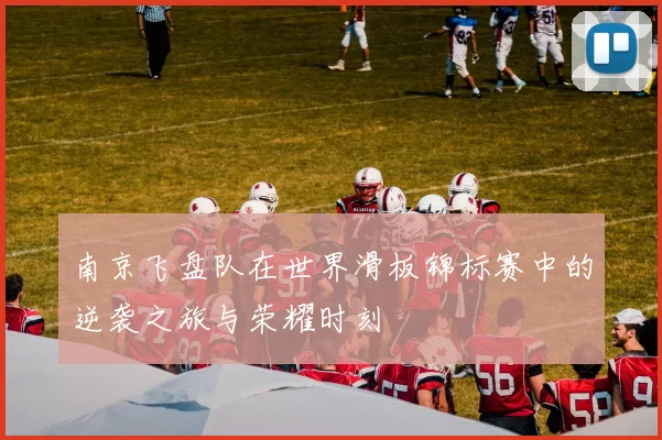 南京飞盘队在世界滑板锦标赛中的逆袭之旅与荣耀时刻