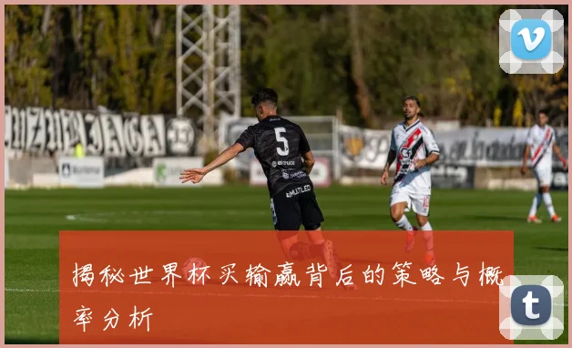 揭秘世界杯买输赢背后的策略与概率分析