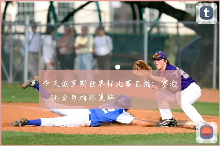 今天俄罗斯世界杯比赛直播：赛程、比分与精彩集锦