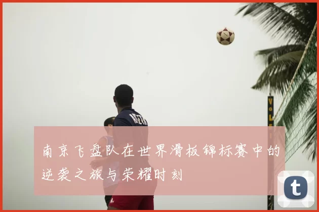 南京飞盘队在世界滑板锦标赛中的逆袭之旅与荣耀时刻