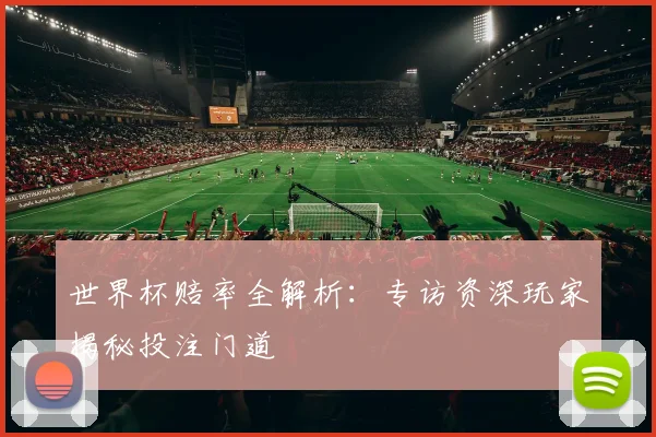 世界杯赔率全解析：专访资深玩家揭秘投注门道