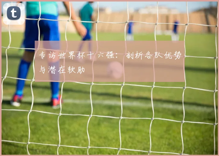 专访世界杯十六强:剖析各队优势与潜在软肋